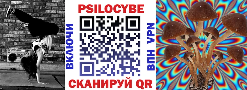 где продают наркотики  omg ТОР  Галлюциногенные грибы MAGIC MUSHROOMS  Тбилисская 