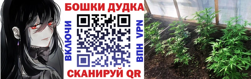 наркотики  Тбилисская  Конопля индика 